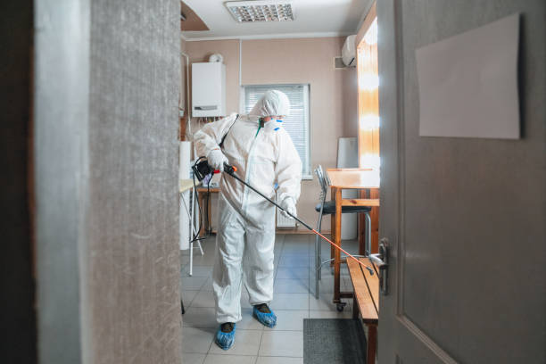 Biohazard Mold Removal in Port St Joe, FL