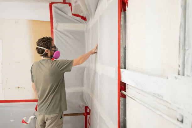 Best Emergency Mold Remediation  in Port St Joe, FL