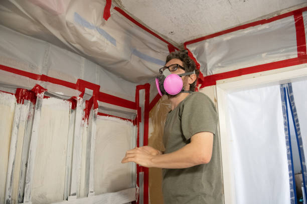 Best Real Estate Mold Inspection  in Port St Joe, FL
