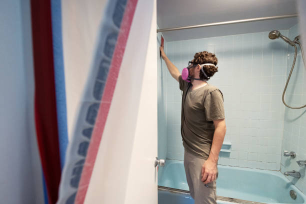 Best Mold Remediation for Healthcare Facilities  in Port St Joe, FL