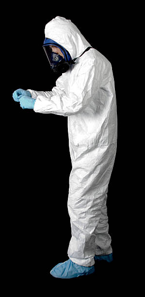 Best Mold Damage Restoration  in Port St Joe, FL
