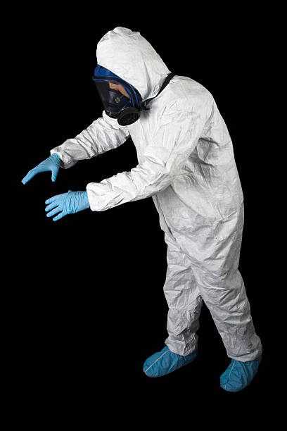 Best Airborne Mold Testing  in Port St Joe, FL